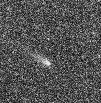 Gambar 1. Komet ISON, diabadikan dengan teleskop Celestron + instrumen CCD oleh Muhammad Yusuf di Observatorium Bosscha pada 8 Oktober 2013 pukul 04:15 WIB dengan total waktu bukaan kamera 120 detik, sehingga langit di latar belakang nampak berbintik-bintik cukup kasar (grainy). Atas adalah utara dan kiri adalah barat. Sumber: Observatorium Bosscha, 2013.