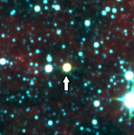 Gambar 1. Salah satu hasil penemuan WISE, yakni sistem bintang ganda Luhman-16 (WISE J104915.57-531906) yang terdiri dari sepasang bintang katai coklat dan adalah bintang non-Matahari terdekat ketiga dari Bumi yang hanya berjarak 6,6 tahun cahaya (tanda panah). Tak ada bintang katai lain yang lebih dekat lagi dalam penemuan WISE selain Luhman-16. Sumber: NASA, 2014.